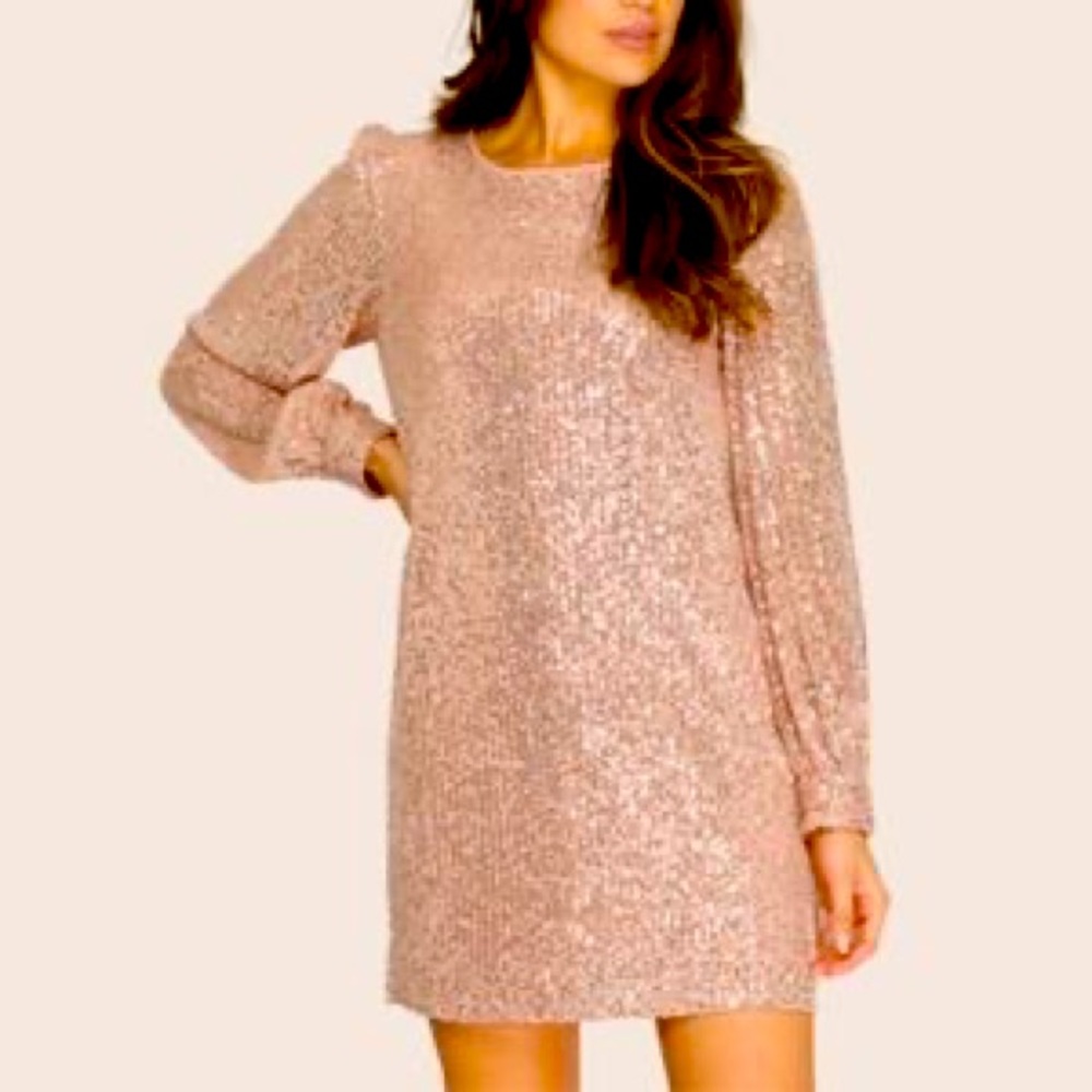 Long sleeves sequins mini petite dress